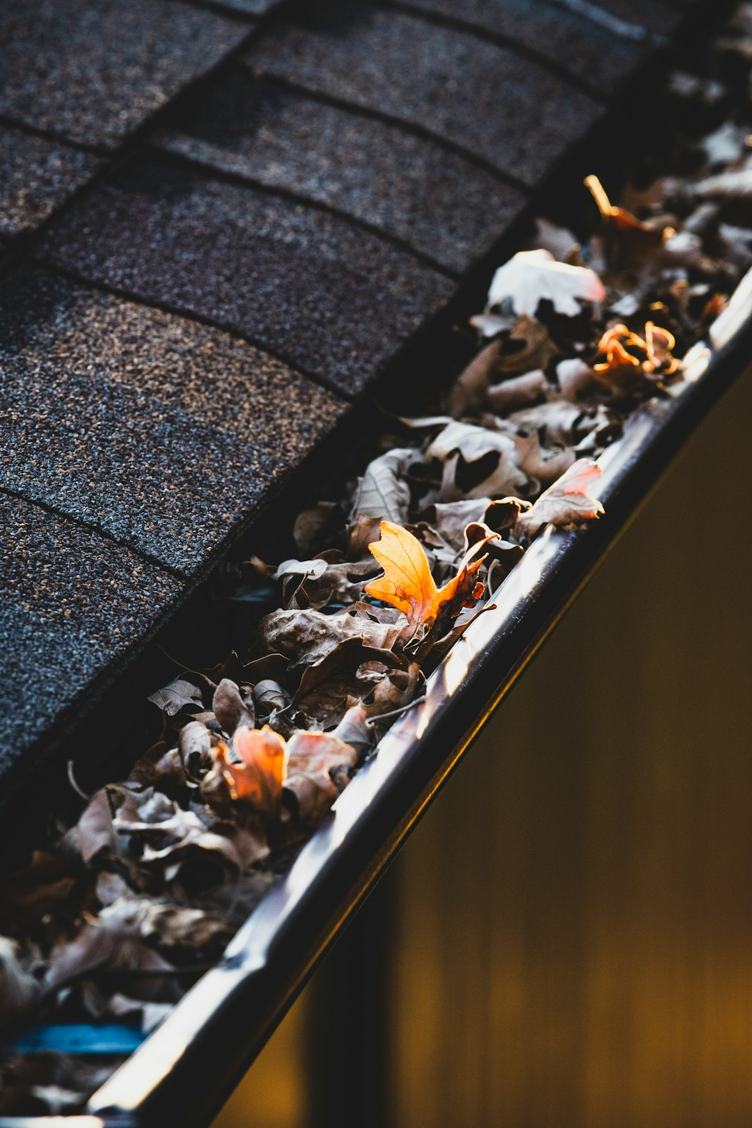 Affordable Columbus Landscaping Solutions